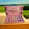 Paleta de sombras Take Me Home II / Okalan